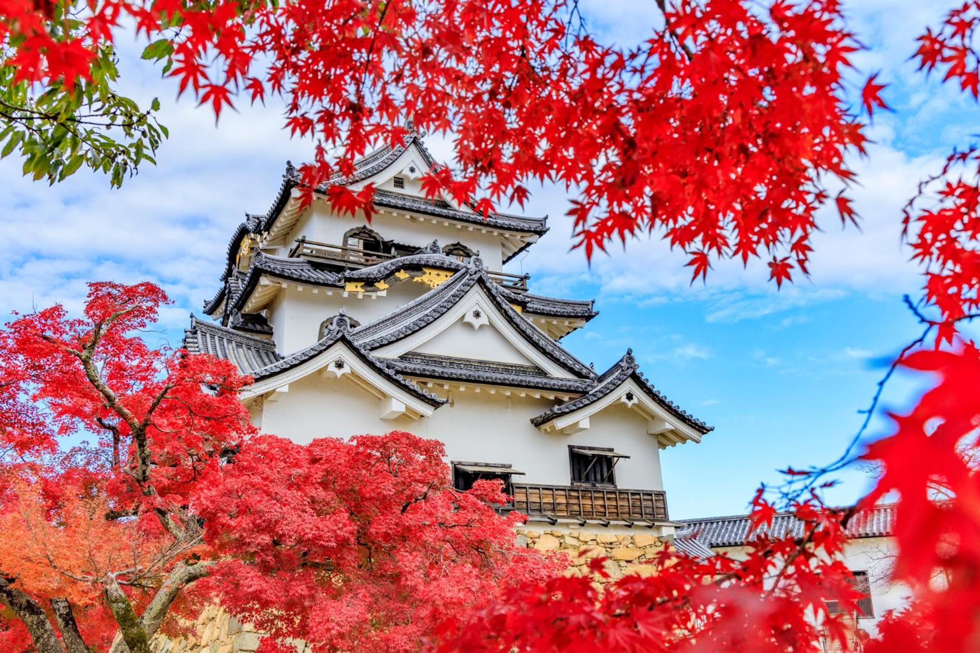 Hotel Sunroute Hikone Luaran gambar